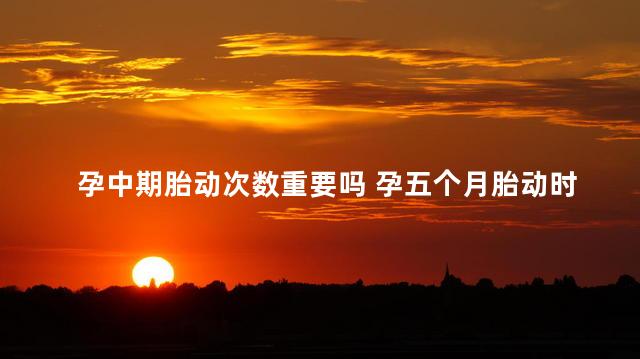 孕中期胎动次数重要吗 孕五个月胎动时有时无